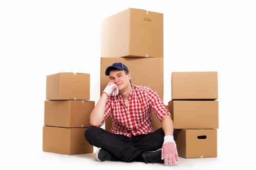Local van mover handling household belongings carefully