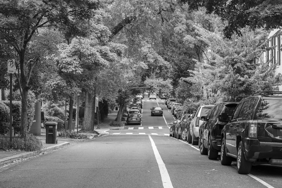A quiet residential street in Bexley with parked cars lining both sides of the road, including a mix of sedans, SUVs, and vans. The street is shaded by large leafy trees with dense foliage overhead, casting shadows on the pavement. On the left side, there are house façades partially visible behind the trees, with a trash bin placed near the curb and a no-parking sign mounted on a pole nearby. The road features a central white line and a pedestrian crossing with white stripes, indicating an area for pedestrians and possibly home relocation or furniture transport activities close to the properties. Natural light filters through the tree canopy, illuminating the scene evenly. This setting exemplifies a typical street suitable for vehicle loading zones, parking arrangements, or home moving logistics coordinated by a professional removals team such as Man with Van Bexleyheath, operating in the Bexley DA6 area, supporting packing and moving services.