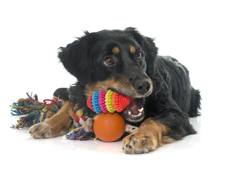 moving companies moving supplies